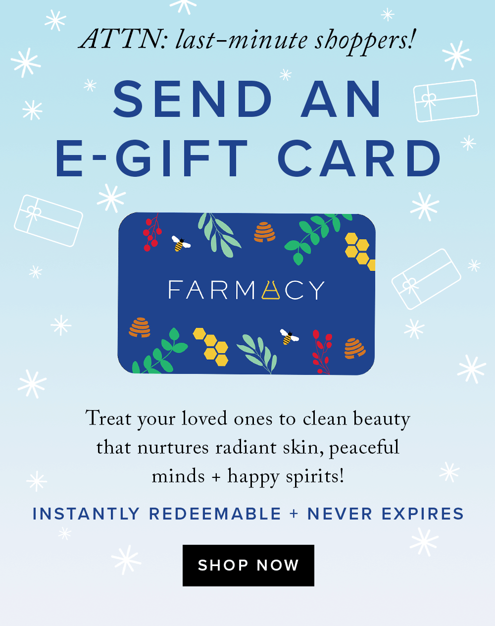 Gift card email example with holiday examples